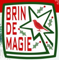 Avatar de Association Brin de Magie
