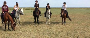 Balades à cheval