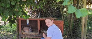 Activité Soins aux animaux