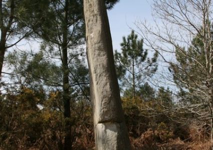 Menhir Quenouille de Gargantua la Croix Pin