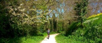Pour les moins de 4 ans : Au pied de mon arbre Pléneuf-Val-André