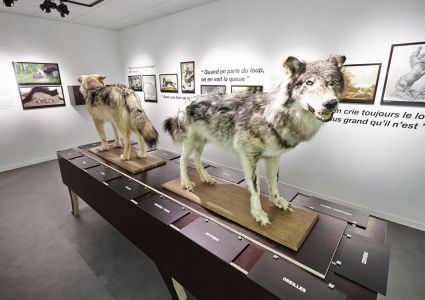 Le Musée du Loup