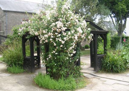 Jardin du Prieuré (Locmaria)