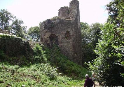 Ruines du château de Montafilan
