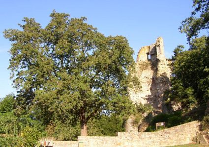 Le bois de Rumignon et le parc du Château