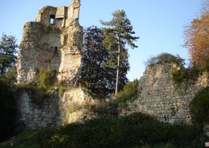 Le bois de Rumignon et le parc du Château