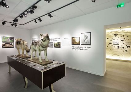 Le Musée du Loup