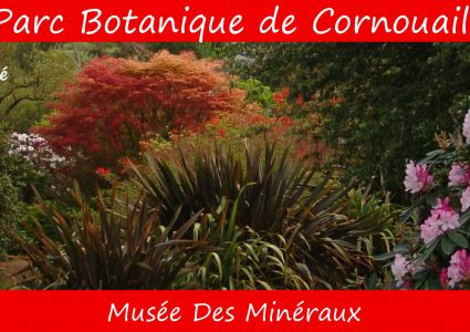 Parc botanique de Cornouaille et Musée des Minéraux