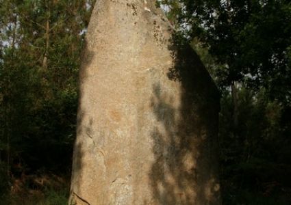 Menhir Regnon-Rannion