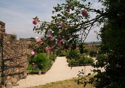 Ancienne Abbaye de Landévennec, Jardin de simples