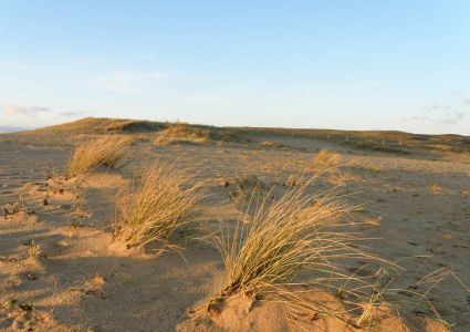 Dunes sauvages de Gâvres à Quiberon