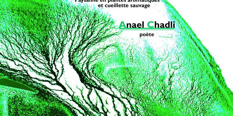 Partages saison 1 épisode 1 : rencontre avec Isabelle Cheval, paysanne en plantes aromatiques et cueillette sauvage, et Anael Chadli, poète