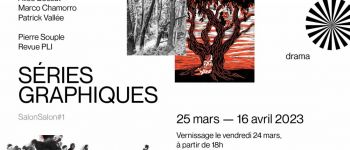 Vernissage: SÉRIES GRAPHIQUES DESSINS MULTIPLES Rennes 