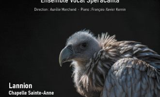 L’ensemble vocal speracanta – requiem de wolfgang amadeus mozart 