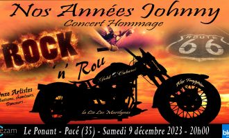Nos années johnny - spectacle concert hommage 
