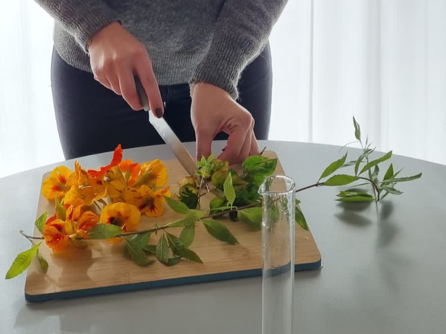ATELIER DEGUSTATION EXOTIQUE