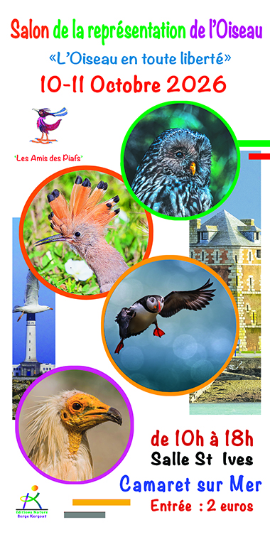 4ème salon de la représentation de l'oiseau à Camaret