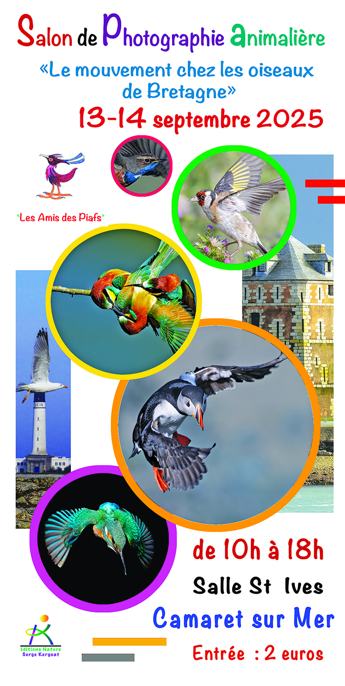 3ème salon de la Photographie Animalière de Camaret Presqu'île de Crozon - Aulne maritime
