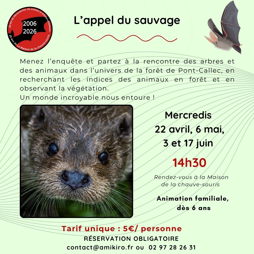 L’appel du sauvage