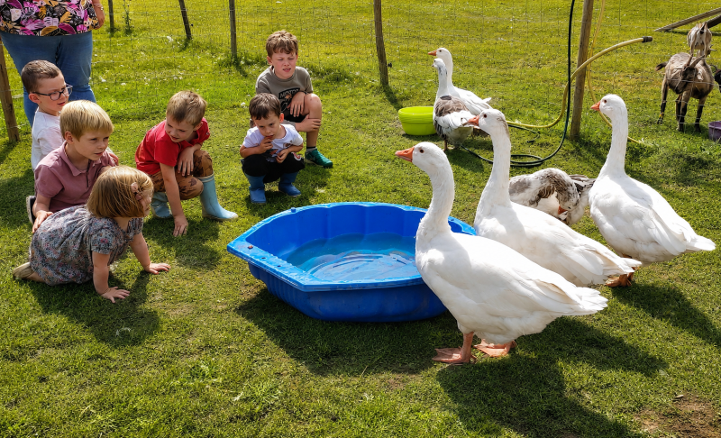 Atelier petits fermiers 2 - 8 ans