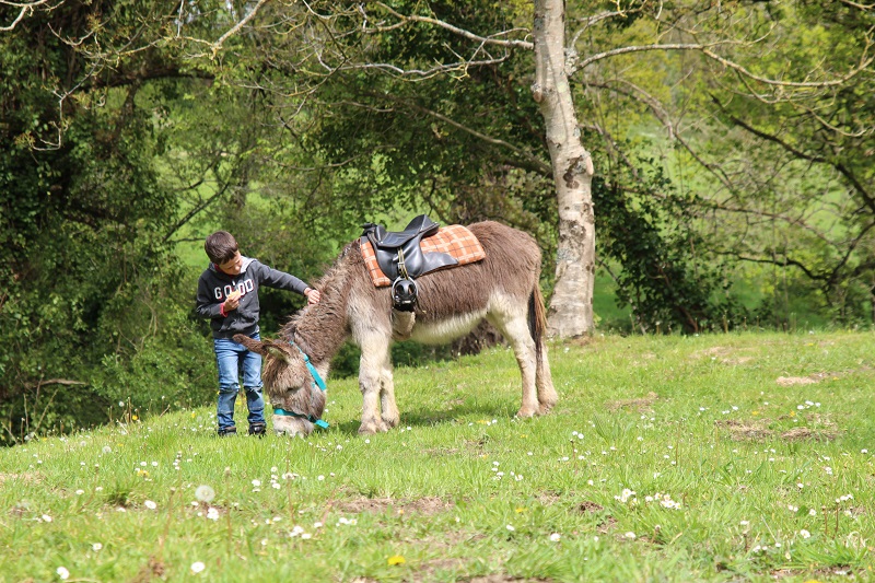 Avec mon âne, je pars planter mon pommier (3 - 8ans)