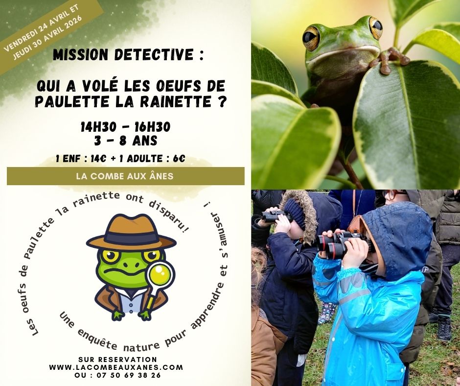 Enquête policière :  Les œufs de Paulette la grenouille ont disparu ! Sortie famille (5-9 ans)