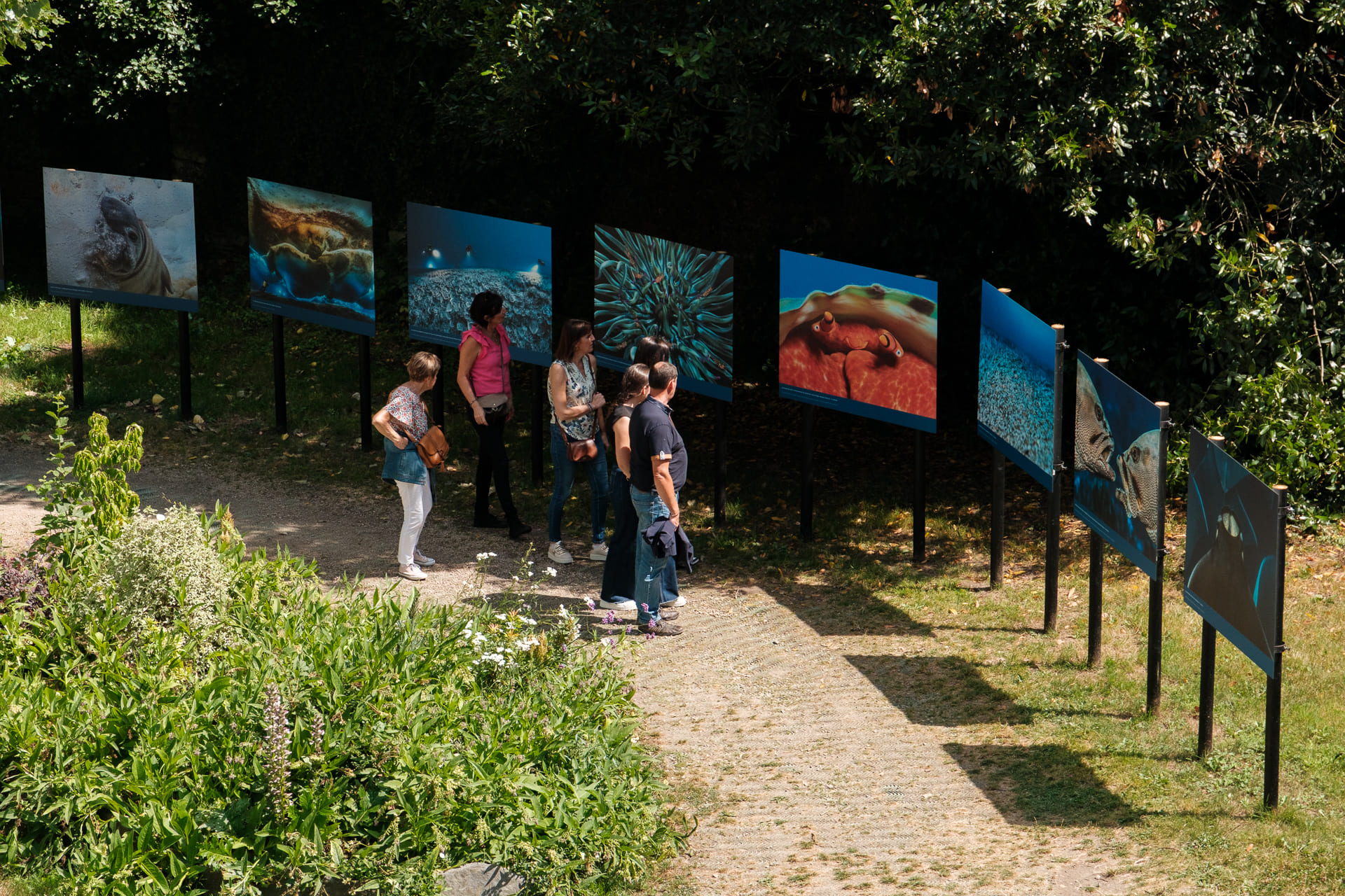 Visites Flash & Initiations Cyanotype