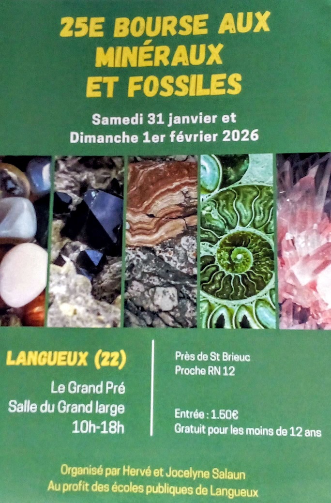 25ème Salon exposition de minéraux,  bijoux et fossiles, trésors de la terre