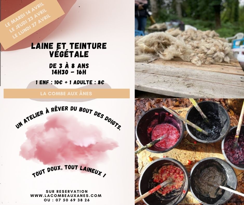 Laine et teinture végétale : Atelier Parents- enfants de 3 à 8 ans