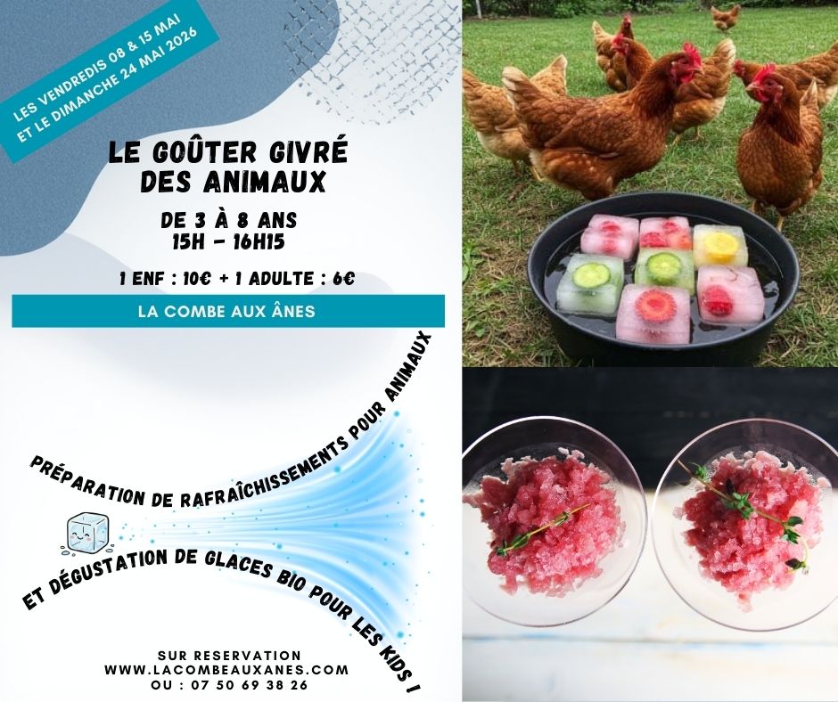 Le goûter givré des animaux - Atelier parents - enfants 3 - 8 ans