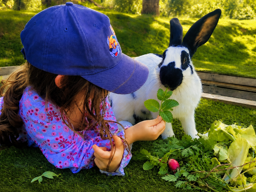 Atelier les secrets de l'herboriste des animaux