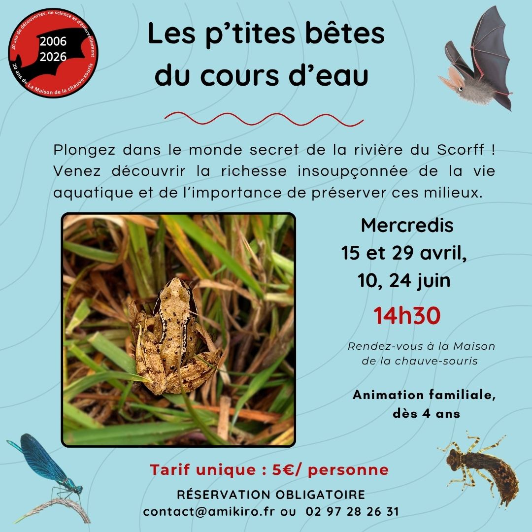 P’tites bêtes du cours d’eau