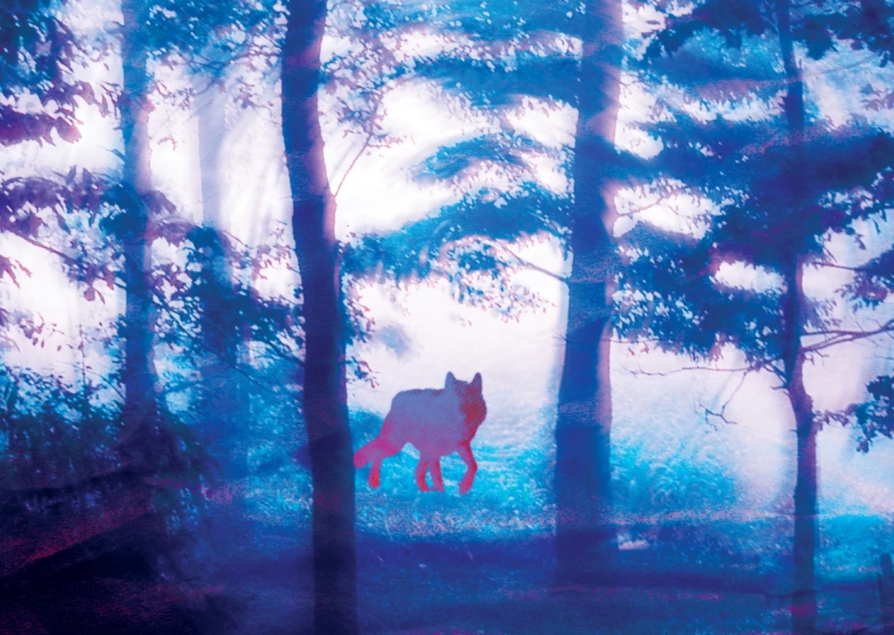 Se souvenir des loups