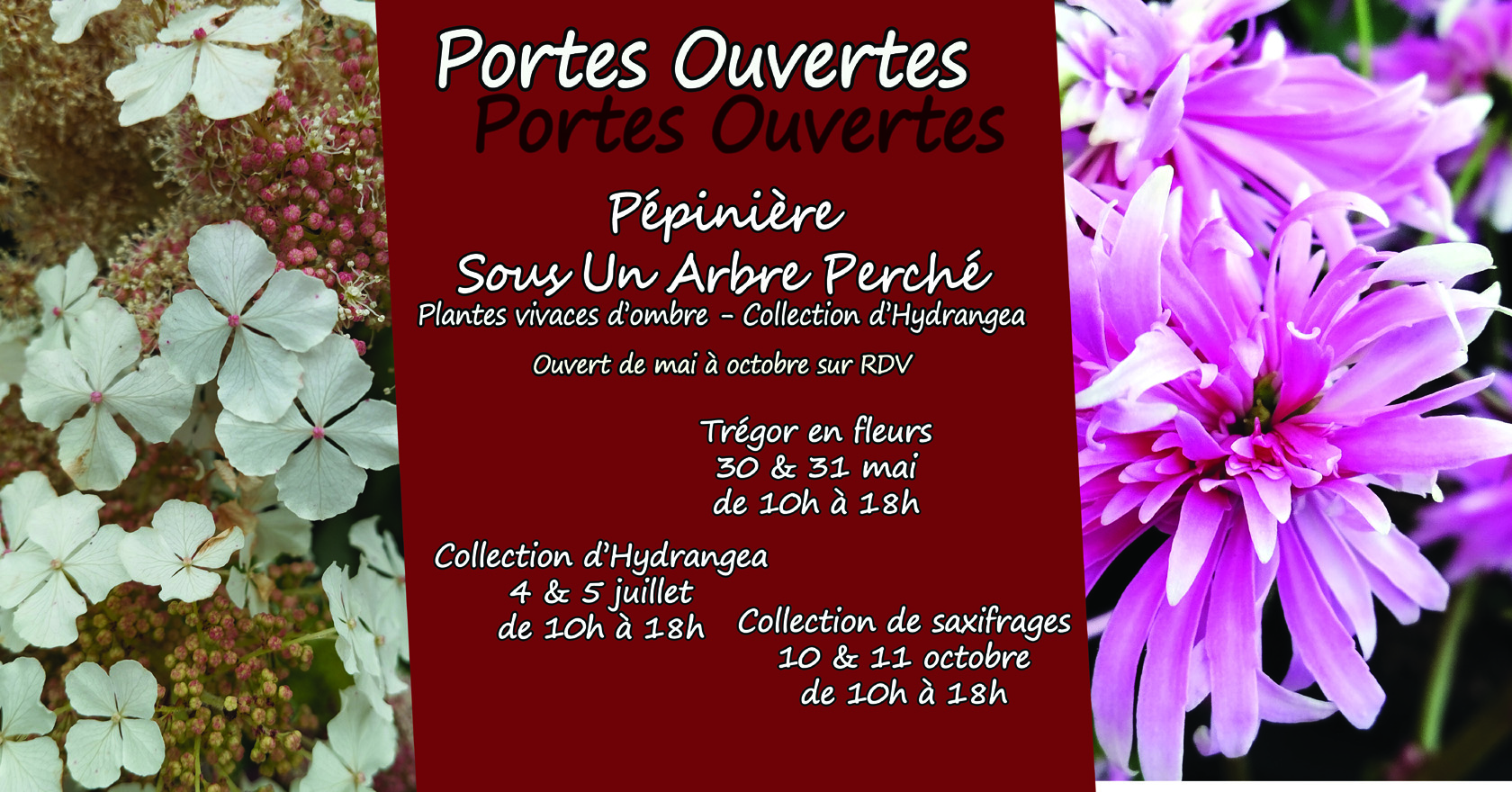 Portes ouvertes à la pépinière