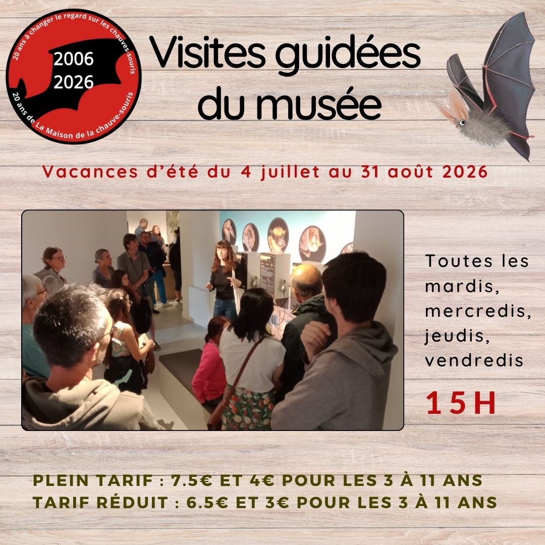 Visite guidee de la maison de la chauve-souris