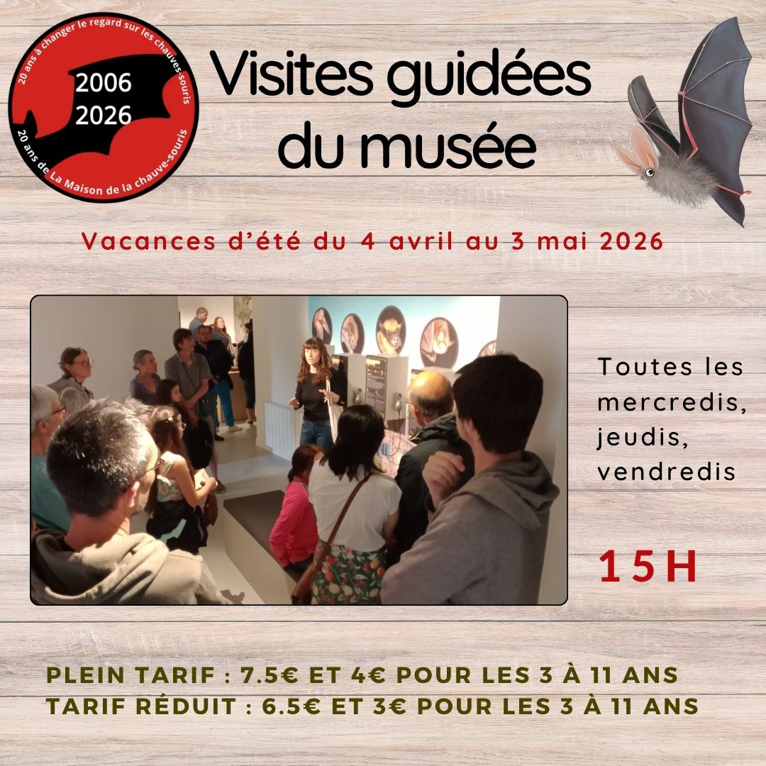Visite guidee de la maison de la chauve-souris
