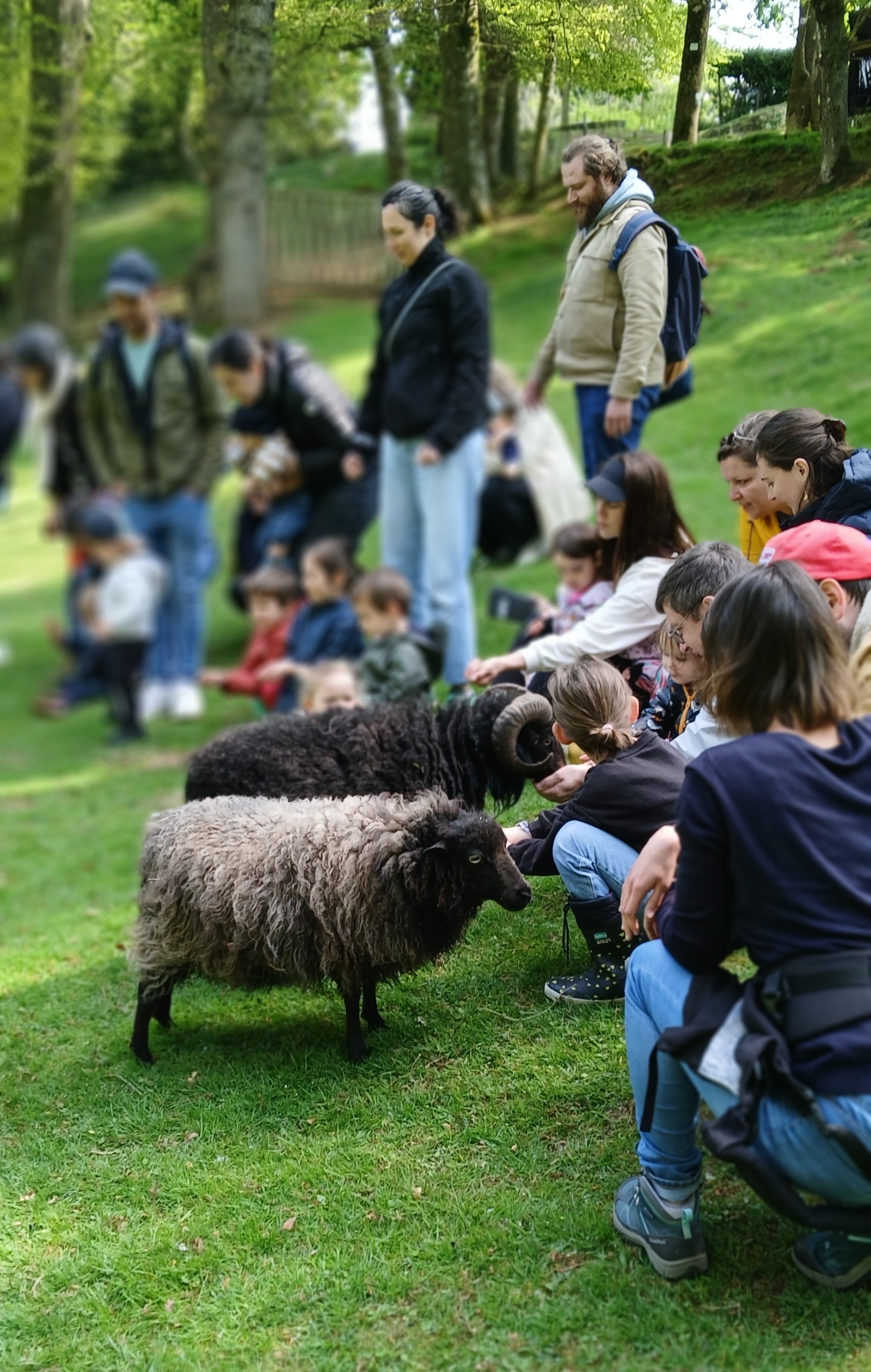 Visite ferme pédagogique et atelier nourrissage des animaux