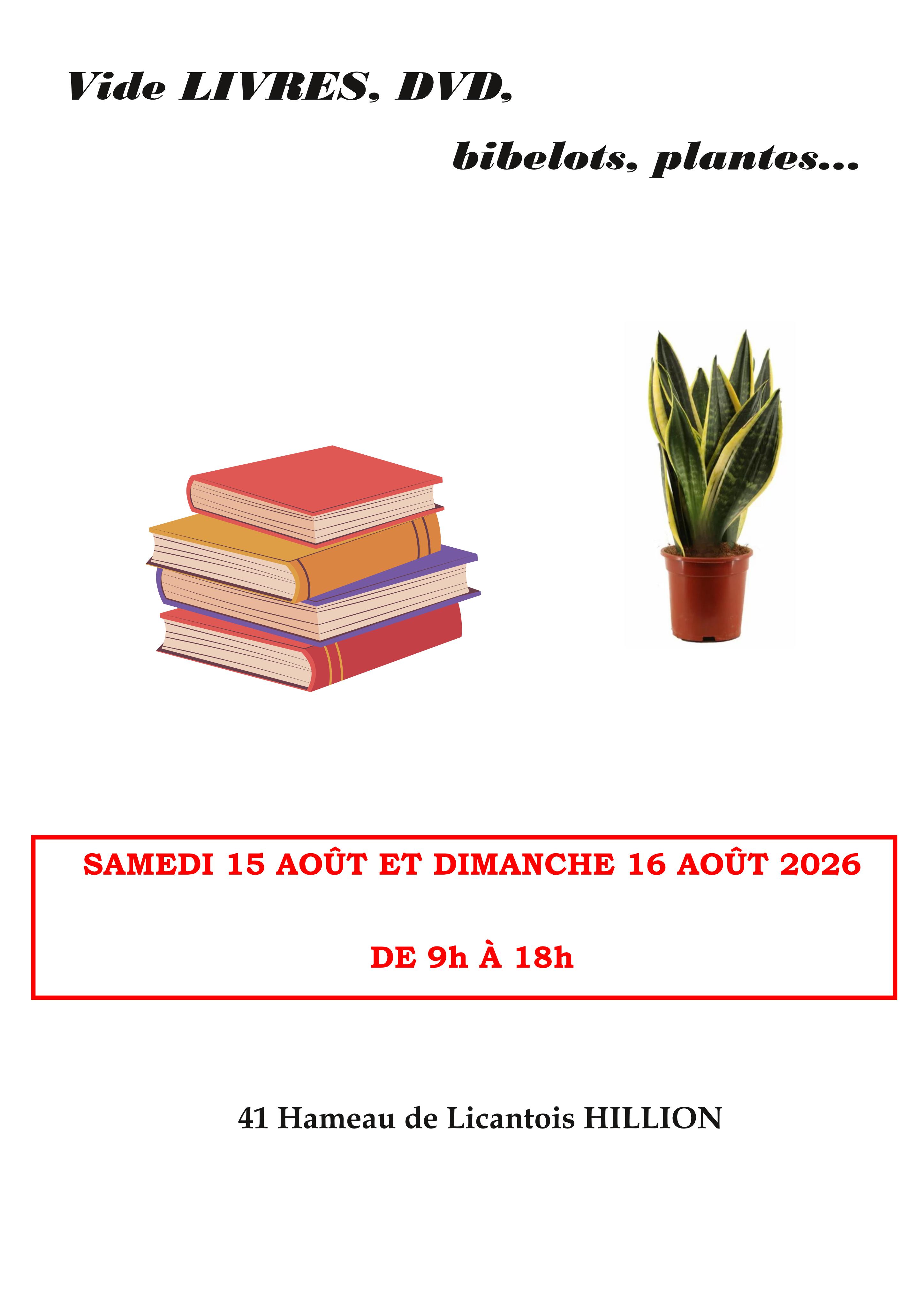 Vide Livres, DVD, bibelots et plantes