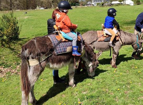 Atelier les petits âniers : De 2 ans à 8 ans