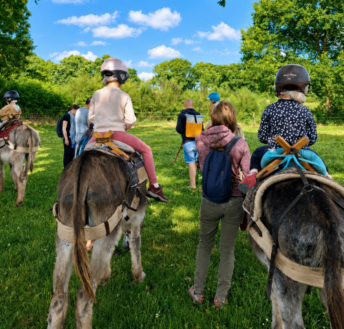 Atelier les petits âniers : De 2 ans à 8 ans