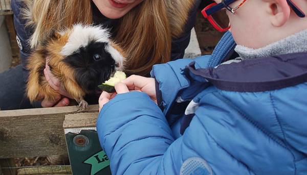 Biscuit Party à la Ferme - Atelier parents /enfants de 3 à 8 ans