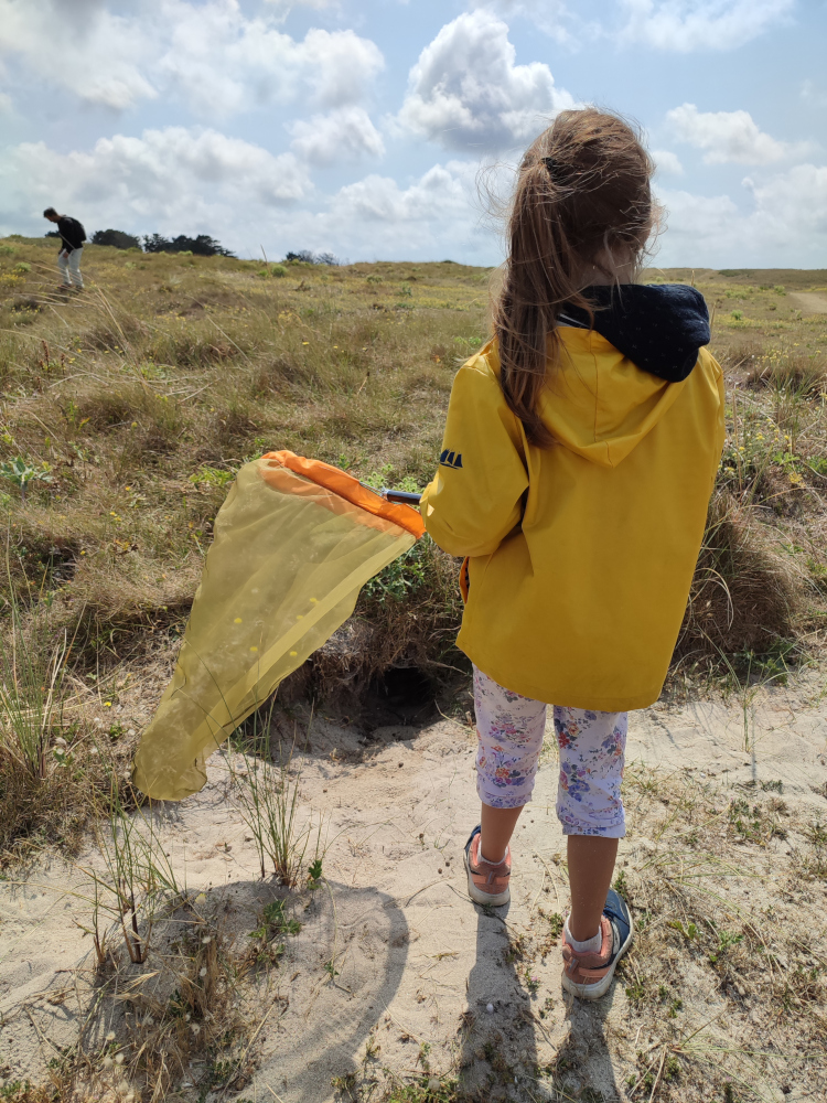 Sortie nature : safari dans les dunes