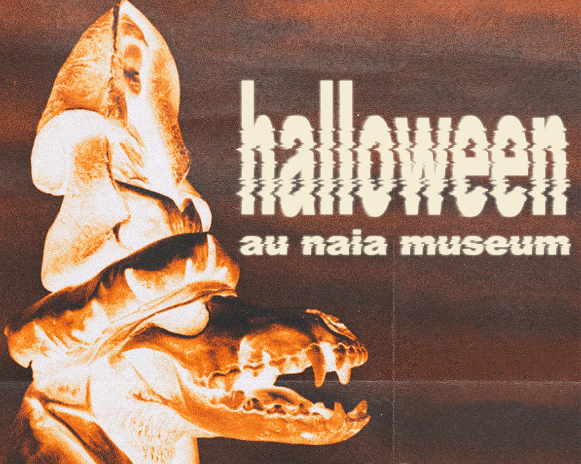 Halloween au Naia Museum