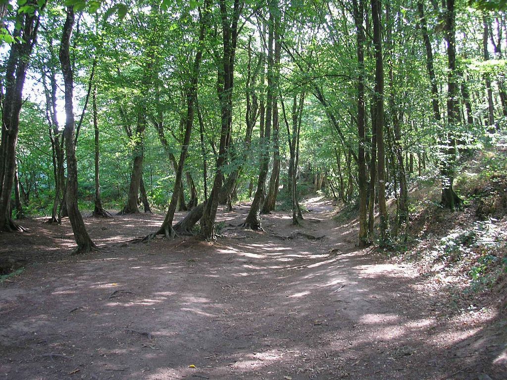 Brocéliande, la Porte des Secrets