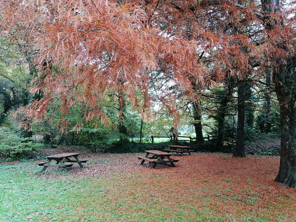 Bois d'Amour de Josselin