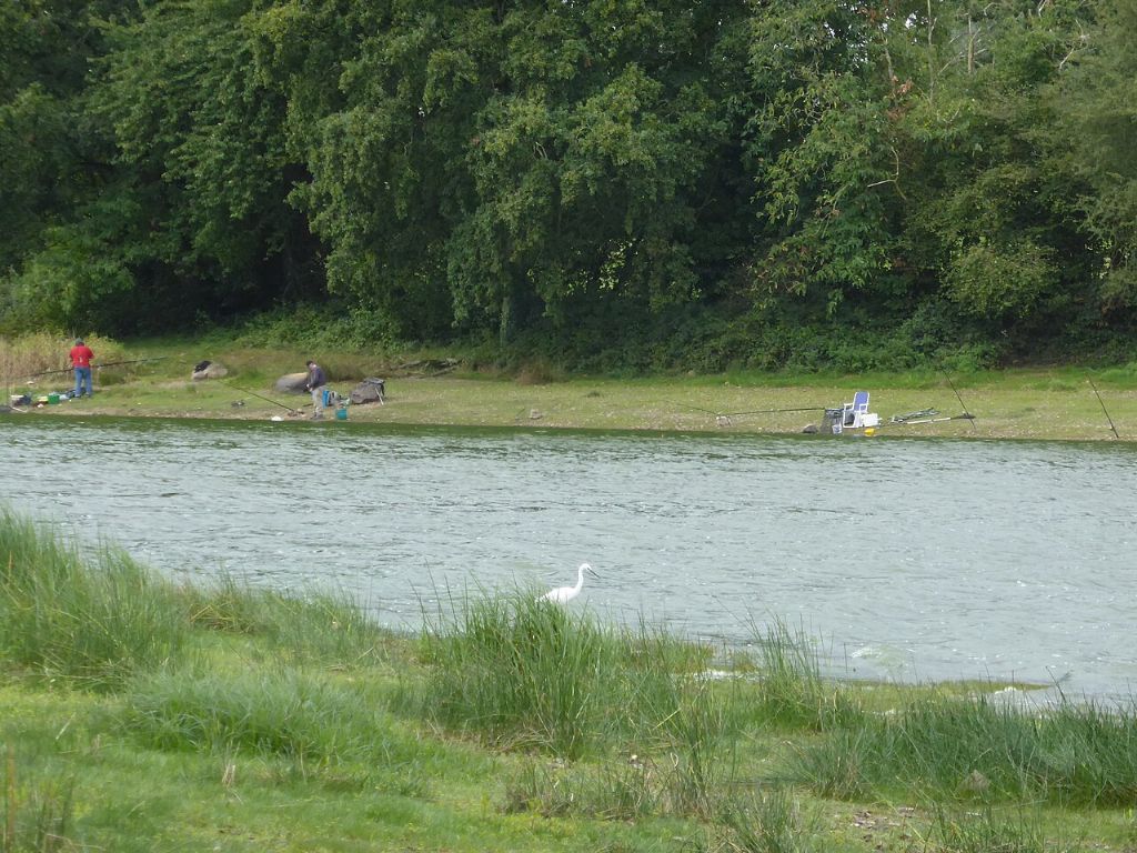 Etang de Châtillon-en-Vendelais