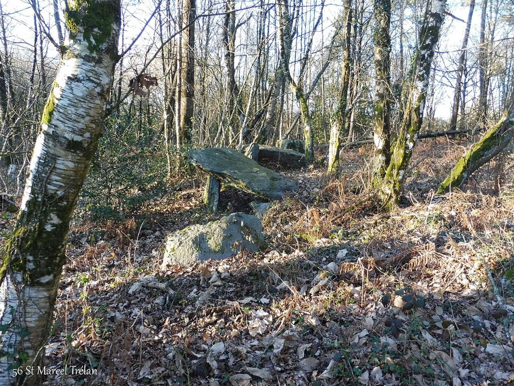Allée-couverte de Trélan