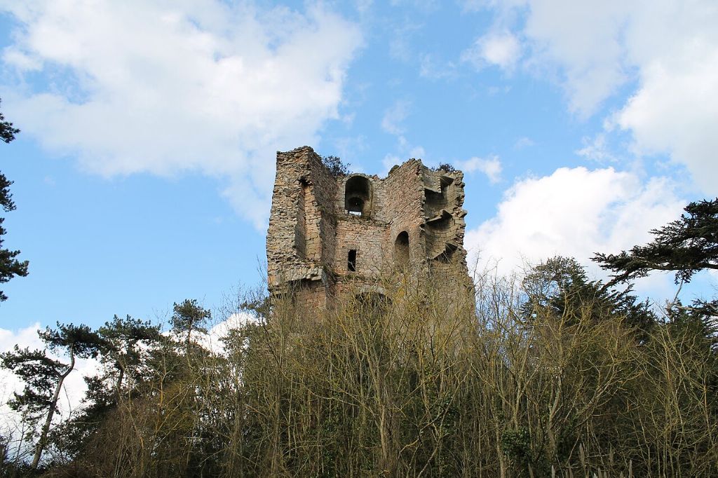 Les ruines de la tour de Cesson