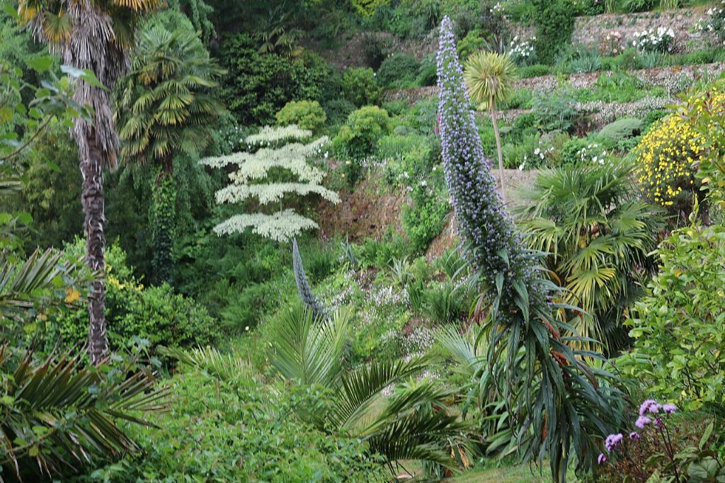 Le jardin du Kestellic