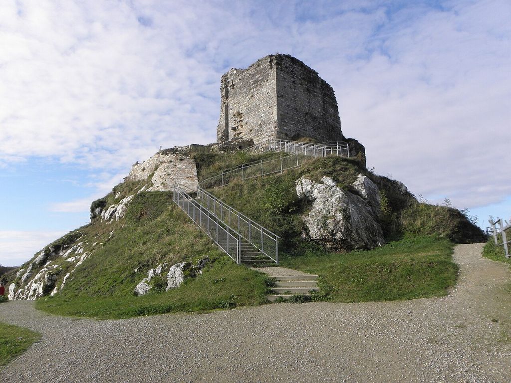 Château de la Roche Maurice
